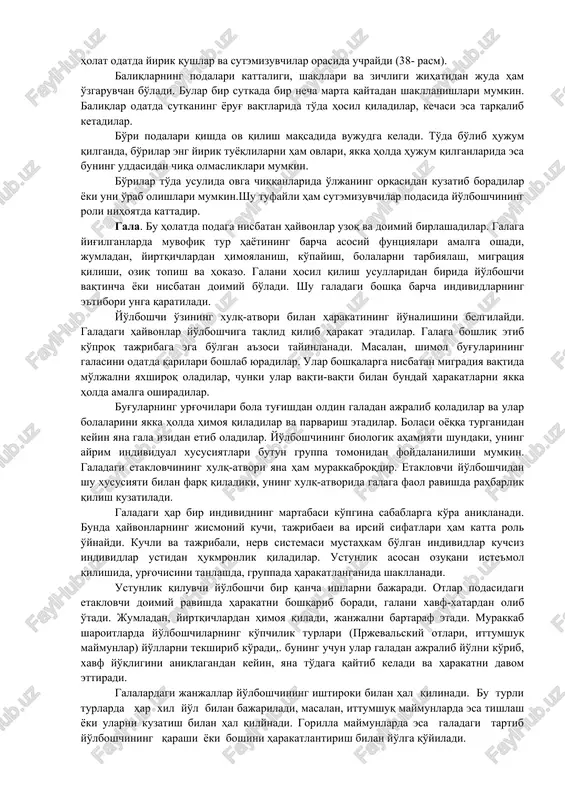 ishda bir-birlari bilan axborotlar almashtirishga harakat qiladilar, xulq-atvori, fiziologiyasi va ayrim individlarning tuzilishi butun koloniyaning manfaatiga bo'ysungan bo'ladi. poda. bu hayvonlarning vaqtincha birlashishi bo'lib, bunda harakatlarida biologik nuqtai nazardan foydali ta'sir vujudga keladi. poda hayvonlarning u yoki bu funkiiyalarining bajarilishini engillashtiradi: dushmandan himoyalanish, oziq topish, migraiiya qilish jarayoni engil ko'chadi. poda bo'lib yashash qushlar bilan baliqlar orasida yaxshi rivojlangan, sutemizuvchilar orasida esa asosan itlarga xosdir. podada ta'sir etish usullari ikki kategoriya (toifa)ga bo'linadi. 1. ekvipoteniial, bunda poda a'zolaridan birontasi ham ustunlik qilmaydi. 2. podada boshliq bo'lib podadagi hayvonlar mo'ljalni ana shu tajribali individga qarab oladilar. birinchi holat asosan baliqlar, shuningdek, mayda qushlarga xosdir. ikkinchi holat odatda yirik qushlar va sutemizuvchilar orasida uchraydi (38- rasm). baliqlarning podalari kattaligi, shakllari va zichligi jihatidan juda ham o'zgaruvchan bo'ladi. bular bir sutkada bir necha marta qaytadan shakllanishlari mumkin. baliqlar odatda sutkaning yorug' vaqtlarida to'da hosil qiladilar, kechasi esa tarqalib ketadilar. bo'ri podalari qishda ov …