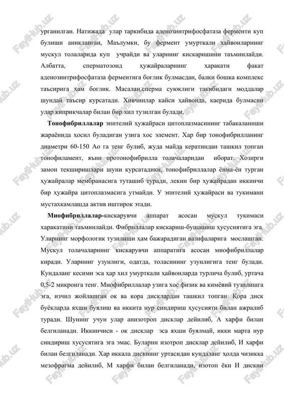 di. xar ikkala diskning urtasidan kundalang holda chizikka mezofragma deyilib, m xarfi bilan belgilanadi, izotop yoki i diskni kesib utgan chizikka esa telofragma deyiladi va t xarfi bilan belgilanadi. xozirgi vaktda bunga z chizigi ham deyiladi. bushashgan xolatda turgan muskulda anizortop diskning urtasida okish jiyakka uxshagan chizik hosil bulib, unga n disk deyiladi. odatda, shu n disk urtasidan mezofragma utgan buladi. miofibrillalar sarkomer kismlardan tashkil topgan. sarkomer deb, odatda, ikkita t disklarning urtasidagi miofibril kismlarga aytiladi. xar bir sarkomerga bittadan tula anizotrop va ikki tomondan yarimtadan izotrop disklar kiradi. elektron mikroskop yordamida tekshirishlar shuni kursatadiki, har bir miofibrillalar bir-biriga parallel holda joylashgan ingichka mayda oksil ipchalardan, ya'ni protofibrillalardan (miofilamentlardan) tashkil topgan. ana shu ipchalarning biri yugon, ikkinchisi ingichka buladi. yugon protofibrillalarning kundalang kesimi 100-250 ao ga, ingichka protofibrillalarning kundalang kesimi 50-70 ao ga teng. yugonlarining uzunligi 1,5-2 mk bulsa, ingichkalarining uzunligi 2 mk ga teng miofibrillalar geksogonal tartibda joylashadi, ya'ni …
