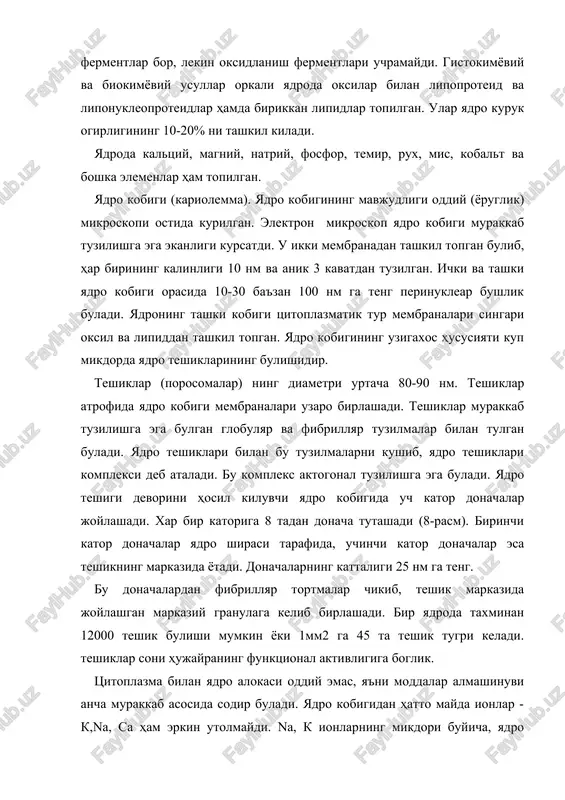 bigining tsitoplazmatik tur membranalariga kadar davom etishi, yadro bilan tsitoplazmaning uzaro ionlar bilan almashinishiga imkon yaratadi. endooplazmatik turning ba'zi bir bulimlari plazmatik membrana bilan aloka kiladidegan fikrlar ham bor. shuning uchun bulsa kerak ba'zi bir buyoklar hujayrani buyamasdan yadrogacha uta oladi. yadro kobigining utkazuvchanligi irsiy informatsiyani yadrodan tsitoplazmaga yukori polimer rnk orkali utishi tugrisidagi zamonaviy ma'lumotlar alohida ahamiyatga ega. bir tomondan ionlarninig mayda molekulalari uchun bu teshiklar utib bulmas chegara bulsa, ikkinchi tarafdan, katta molekula informatsion rnkning tsitoplazmaga utishini ta'minlaydi. tsitoplazmadan yadroga tsitoplazmada sintezlanuvchi va yadroni energiya bilan ta'minlashda kerak bulgan mononukleotid trifosfatning katta molekulalari utadi. aminokislotalar purin, pirimidin asoslar va atf yadroga faol transport yuli bilan utadi. ba'zan yadrodan tsitoplazmaga yadro moddasining ajralib utishi mumkin degan fikr ham bor. uz navbatida yadro kobigida botiklar paydo bulib, xuddi fagotsitoz kabi tsitoplazma moddasini kamrab oladi. yadro kobigi tsitoplazmatik tur hosil bulishida ishtirok etadi, degan fikrlar ham mavjud. profazada yadro kobigi frogmentatsiyaga …