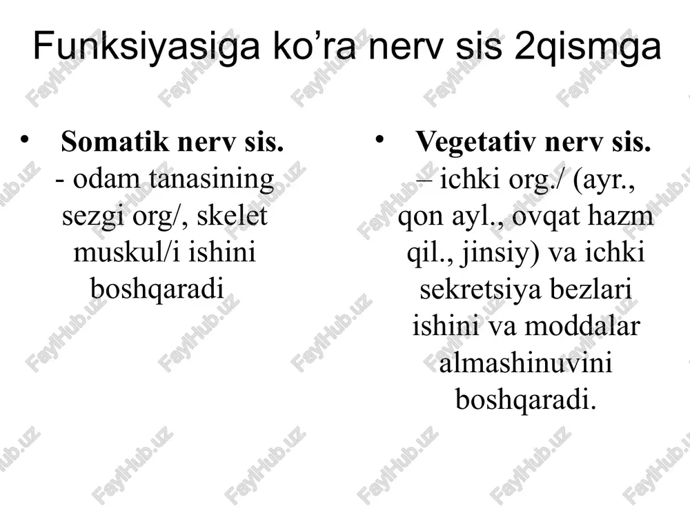 nervsistemasi - Page 4