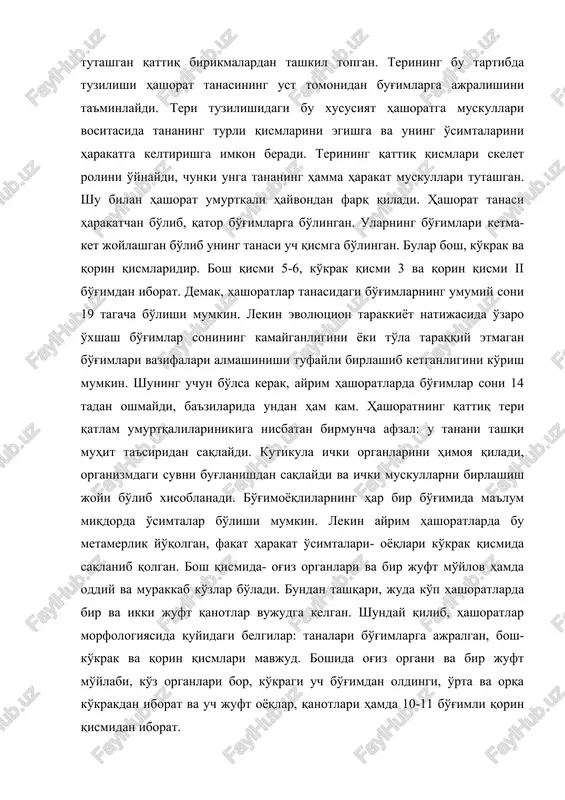 horatlar morfologiyasida quyidagi belgilar: tanalari bo'g'imlarga ajralgan, bosh-ko'krak va qorin qismlari mavjud. boshida og'iz organi va bir juft mo'ylabi, ko'z organlari bor, ko'kragi uch bo'g'imdan oldingi, o'rta va orqa ko'krakdan iborat va uch juft oyoqlar, qanotlari hamda 10-11 bo'g'imli qorin qismidan iborat.