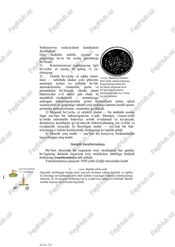ra bir necha guruhlarga bo‘linadi: 2-rasm. bakteriya klonlari: petri idishi sathida bakteriya hujayrasining ketma-ket bo‘linishi natijasida hosil bo‘lgan koloniyalarini (klonlarini) oddiy ko‘z bilan ko‘rish mumkin. 1) konsistensiyasi (qattiqsuyuq- ligi) bo‘yicha: a) suyuq, b) qattiq, v) ya- rimsuyuq. 2) tarkibi bo‘yicha: a) oddiy (minimal) — tarkibida shakar yoki glitserin, ammoniy tuzlari va sulfatlar bo‘lib, aminokislotalar, vitaminlar, purin va pirimidinlar bo‘lmaydi, chunki ularni bakteriyalar o‘zi sintez qila oladi. b) murakkab (maksimal) — mutatsiyaga uchragan mikroorganizmlar ayrim fermentlarni sintez qilish xususiyatini yo‘qotganligi sababli oziq muhitiga hamma kerakli purin, pirimidin aminokislotalar, vitaminlar qo‘shiladi. 3) maqsadi bo‘yicha, a) selektiv muhit — bu muhitda asosan faqat ma’lum bir mikroorganizm o‘sadi. masalan, vismut-sulfit ta’sirida salmonella bakteriya avlodi rivojlanadi va ko‘payadi, dizenteriya kasalligini qo‘zg‘atuvchi bakteriyalarning esa o‘sishi va rivojlanishi susayadi; b) boyitilgan muhit — ma’lum bir bak- teriyaning o‘sishini kuchaytiradi, boshqasiga to‘sqinlik qiladi. 4) sintetik oziq muhit — ma’lum bir kimyoviy birikmalardan tayyorlangan oziq muhit. genetik transformatsiya ma’lum …