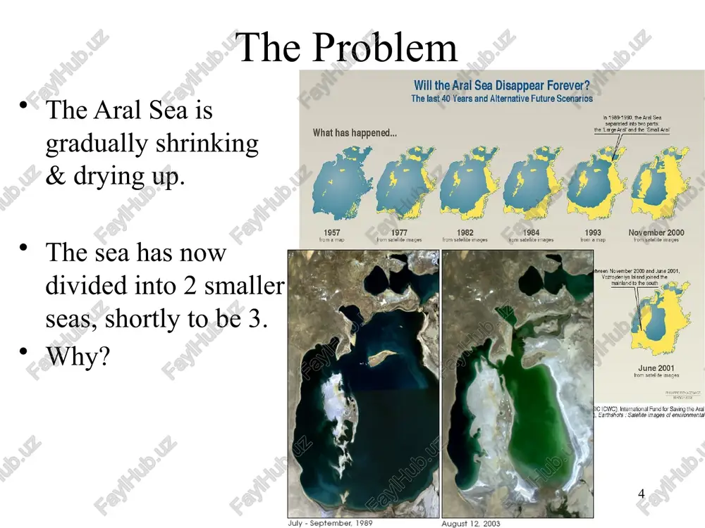 global problem in the aral sea - Page 4