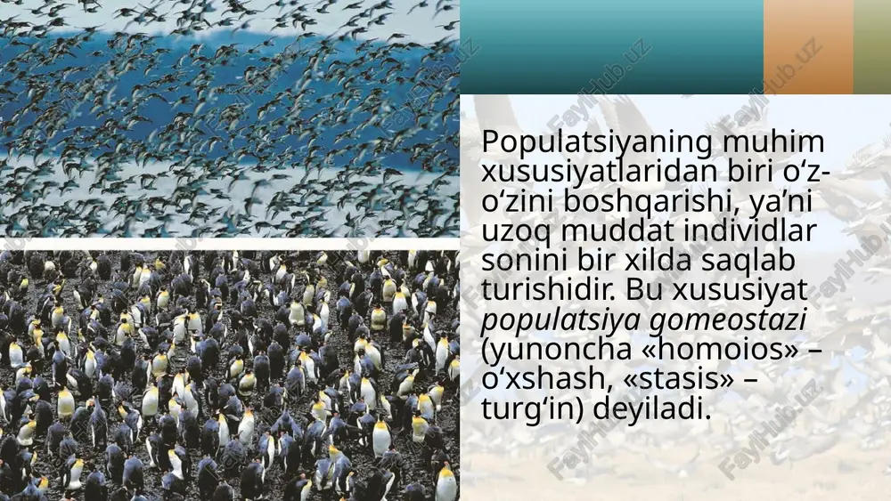 turning populationsktukturasi dars ishlanmasi - Page 4