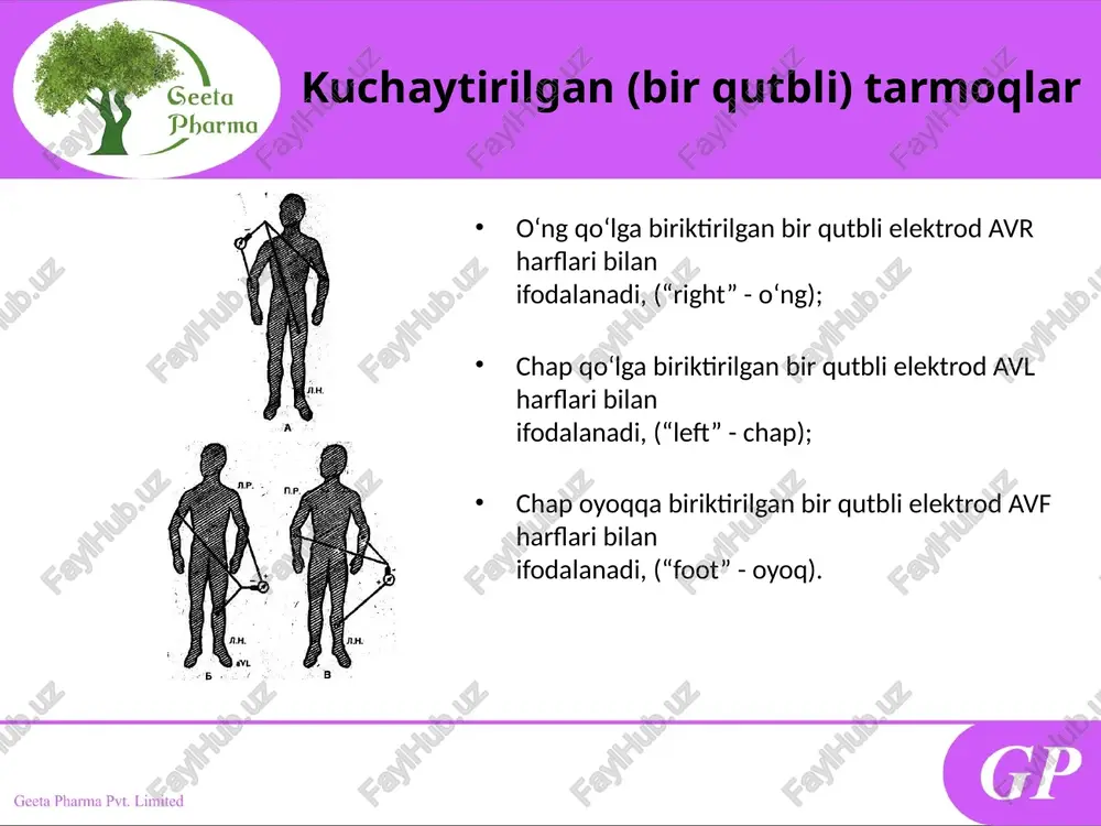 avr)- bir necha soatdan bir oygacha, ba’zan bo‘lmasligi xam mumkin. ushbu davrda nostabil stenokardiyaning klinik belgilari kuzatiladi. o‘ta o‘tkir davri – 30 daqiqadan 2 soatgacha davom etadi. o‘tkir davri –2 soatdan 14 kungacha davom etadi. 4. o‘tkir osti davri 14 kundan-3 oygacha davom etadi 5. chandiqlanish davri 3-6 oy davom etib, kasallik asoratlanmaganda bemor xech qanday shikoyatlar bildirmaydi. yurak aritmiyalari (etiologiyalari) yurakning organik kasalliklari (yuik, revmatik istma, miokardit, kardiomiopatiya, yurak illatlari, gipertoniya kasalligi va boshqalar). funktsional kasalliklar (vegetativ asab tizimi labilligi). fizik va kimyoviy ta`sirlar (tananing xaddan tashqari qizib ketishi, alkogol, digitalis bilan zaharlanish, simpatomimetiklar va siydik xaydovchi vositalar ta`siri). yurak ritmining idiopatik buzilishi. aritmiyalar tasnifi avtomatizm funksiyasi buzilishi bilan bog’liq aritmiyalar sinus taxikardiyasi sinus bradikardiyasi sinus aritmiyasi sinus tuguni quvvatsizligi qo’zg’aluvchanlik funksiyasi buzilishi bilan bog’liq aritmiyalar ekstrasistoliyalar paroksizmal taxikardiyalar qo’zg’aluvchanlik va o’tkazuvchanlik funksiyasi bilan bog’liq aritmiyalar titroq aritmiyasi xilpillovchi aritmiya o’tkazuvchanlik funksiyasi buzilishi bilan bog’liq aritmiyalar sinoatrial blokada bolmachalar …