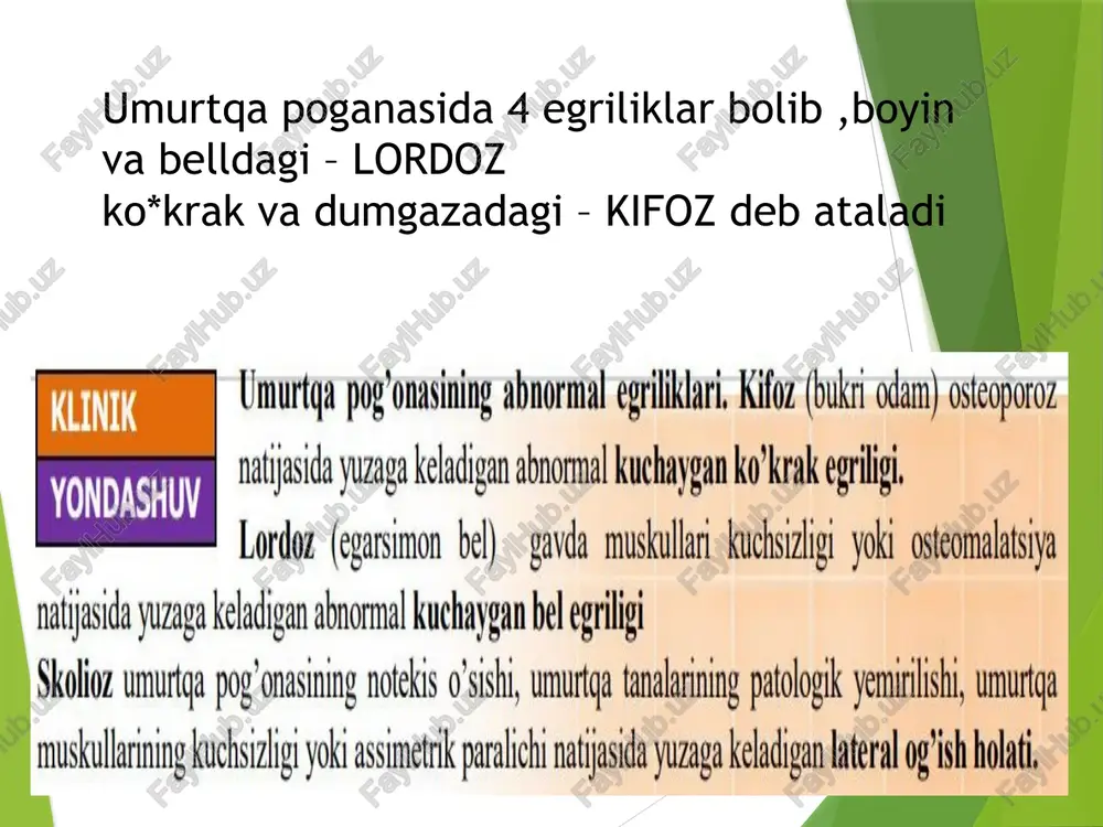 umurtqa pog’onasi anatomik tuzulishi va funksiyasi - Page 4