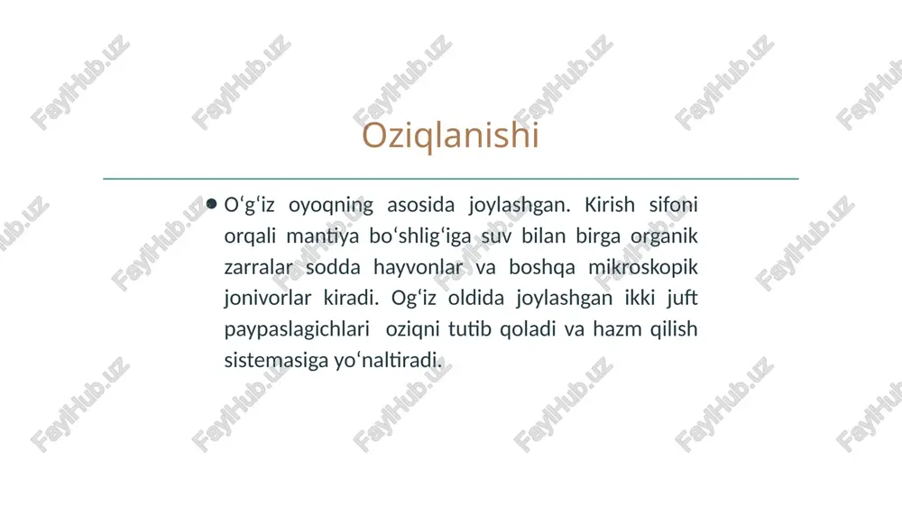boshoyoqli molyuskalarni hazm qilish sistemasi - Page 4