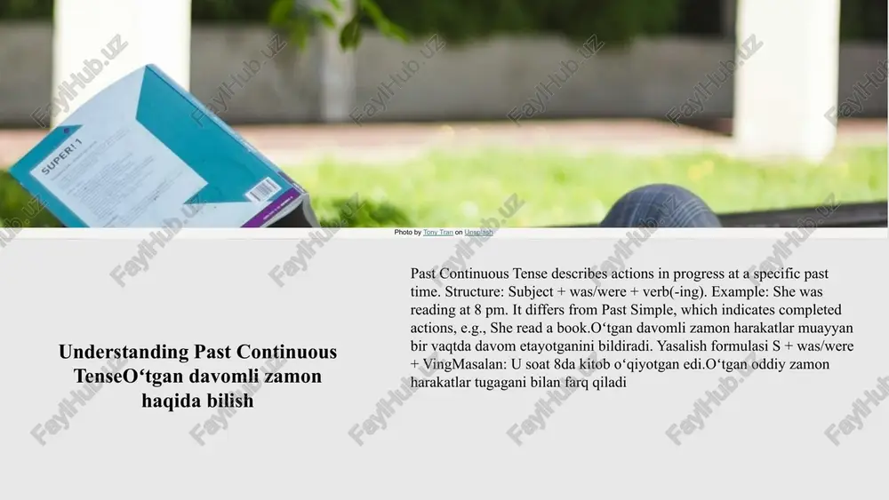 past simple past continuous - Page 4