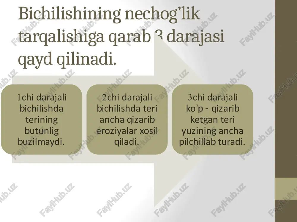 terinibichilishivapufakchaxosilbo’lishi - Page 4