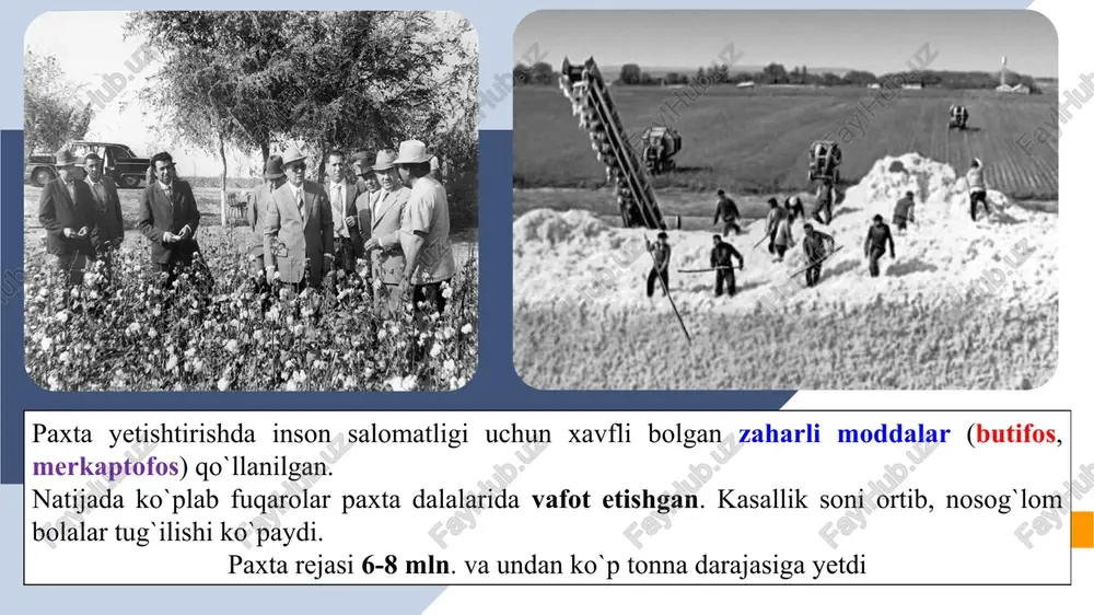 dosh bera olmay, 1984-88-yillarda oʻzbekistonning koʻplab arboblarini “paxta ishi" va “o`zbeklar ishi" degan soxta siyosiy ayblovlar natijasida qatagʻon qilinishiga, xalqning milliy gʻururi va qadriyatlari kamsitilishiga yoʻl qoʻyib berdi oʻzbekiston kompartiyasi mk birinchi kotibi (1983—88). u respublikaga rahbarlik qilgan yillarda vaziyat yomonlashdi. paxta ishi markazdan paxta rejasiga oid bajarib bo’lmas vazifalar kelardi. bunga javoban oʻzbek hukumati “qoʻshib yozish” (raqamlarning sunʼiy oʻsishi oddiy hol edi) hisobiga dalalarining irrigatsiyasi va paxta hosili haqida oldingisidan kattaroq raqamlarni yozishardi. oʻsha “qoʻshib yozishlar’ 500 mingdan 1 mln. tonna raqamni tashkil qilgan. sovet davlatining soʻnggi yillarida ruslar uchun sharof rashidov nomi korrupsiya va maʼmuriy-buyruqbozlik boshqaruvining timsoliga aylandi paxta ishi bu holat oʻzbek boshqaruvchilariga markazdan qoʻshimcha manbalar olish va brejnev hokimiyatini sotib olishga imkon berardi. faqatgina rashidovning oʻlimidan soʻnggina, markaz oʻziga xos “oʻzbek ishi” degan uydirmani oʻylab topdi va oʻzbekistonga telman gdlyan va nikolay ivanov boshliq tezkor prokurorlar guruhini yubordi. buning natijasida oʻzbekiston hukumatida olib borilgan tozalashdan oʻzssrning …
