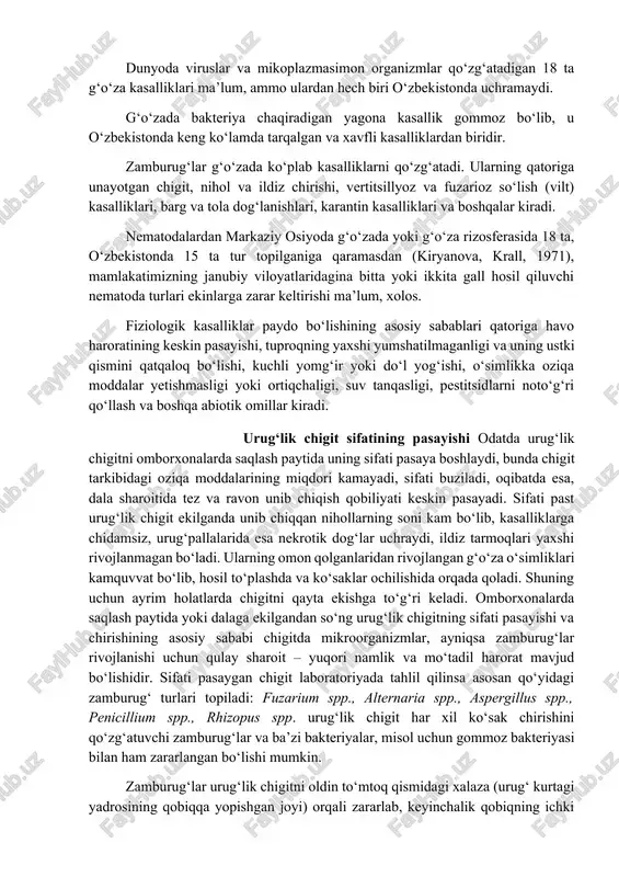 iladi. odatda chigit o‘zining unuvchanligini yo‘qotmaguncha murtakning ichiga infeksiya kira olmaydi. ammo ba’zi yuqorida ko‘rsatilgan mikroorganizmlar o‘zlarining metabolitlari (toksinlari) va ekstratsellyular fermentlari yordamida o‘simlik to‘qimalarini kasallantirishi va hatto halok qilishi mumkin. urug‘lik chigitning sifatini pasayishi, uni yoki urug‘lik olish uchun mo‘ljallangan paxtani omborxonalarda saqlash paytida oson aniqlanadi, chunki bu jarayonda urug‘lik chigit va paxta haroratining sezilarli darajada ko‘tarilishi va oqibatda chigit murtagida turli dog‘larning paydo bo‘lishi kuzatiladi. odatda murtakning rangi oq yoki sarg‘ish-ok bo‘lsa, zararlanganlari och yoki to‘q qung‘ir rangga kiradi. urug‘lik chigit va paxta nisbatan quruq joyda saqlanishi tufayli, ularning zararlanishiga deyarli faqat osmofil zamburug‘lar, asosan aspergillus turlari sabab bo‘ladi. boshqa zamburug‘ turlari va bakteriyalar chigitni faqat nisbiy namligi 20 % dan baland bo‘lsagina zararlashi mumkin. ayrim g‘o‘za turlari yoki navlarining chigitda mog‘or zamburug‘lari bilan zararlanishga nisbatan chidamlilik xususiyati mavjud bo‘lib, bunday navlarda urug‘lik chigit sifatining pasayishi kam bo‘ladi yoki uchramaydi. bular jumlasiga chigitning qobig‘i qalin, suv o‘tkazmaydigan va …