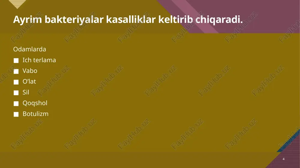 bakteriyalar.protoktistlarzamburug'lar - Page 4