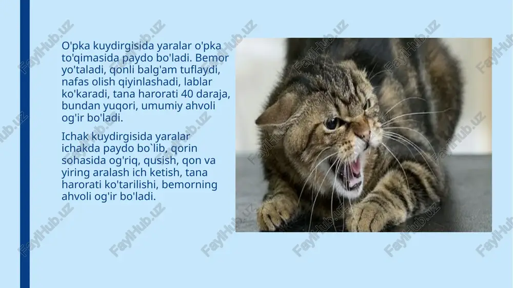 sellyoz 3 turda kechadi: o'tkir brutsellyoz. o'tkir qaytalovchi brutsellyoz; 3. surunkali faol brutsellyoz; 1.o`tkir brutsellyoz. mikrob yuqqanidan bir haftadan ikki oygacha yashirin davri o`tgach, tana haroratining 39-40 darajaga ko'tarilishi bilan boshlanadi. harorat bir haftadan to'rt haftagacha davom etishi mumkin.bu davrda bemor varaja qiladi, ko'p terlaydi. sinchiklab tekshirilganda bo'yin, qo`ltiq osti, chov sohasidagi limfa tugunlarining hajmi bir sm gacha kattalashgani aniqlanadi. davolash natijasida o`tkir brutsellyoz bilan kasallangan bemor to`lig`icha tuzalishi mumkin. ammo, ayrim hollarda bemor to`lig'icha tuzalmaydi, ya'ni o'tkir brutsellyoz kasallikning o'tkir qaytalovchi turiga aylanishi mumkin. 2.o'tkir qaytalovchi brutsellyozda kasallik vaqti-vaqti bilan qo'zg`alib va paysal topib kechadi. kasallik qo'zg'aganda tana harorati ko'tariladi, bo'g'im va muskullarida og'riq bo`ladi, 3-4 kundan keyin bemorning ahvoli yaxshilanadi, lekin 1-1,5 oy o'tgach shu holat yana takrorlanaveradi. 3.surunkali faol brutsellyoz. o'tkir qaytalovchi brutsellyoz 6 oy davomida tuzalmasa, u surunkali faol brutsellyozga aylangan bo`ladi.bunda asosan katta bo'g'imlar zararlanadi, ya'ni tirsak, son-chanoq, tizza bo'g'imlari. shunungdek, bel dumg'aza umurtqalari ham …
