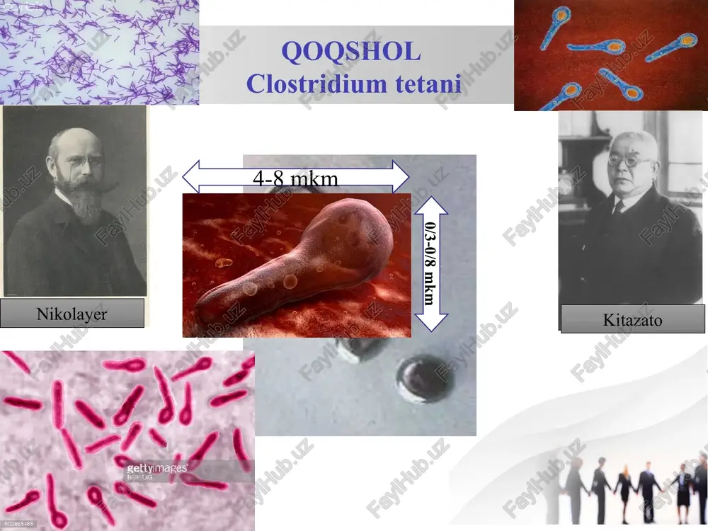 rallash usuli profilaktikasi oʼz vaqtida bemorga jarrohlik yordami koʼrsatiladi, soʼng cl.perfingens, cl.novyi, cl.septicum larga qarshi polivalent antitoksin zardob “diaferm 3” yuboriladi. image1.jpeg image2.jpeg image3.jpeg image4.jpeg image5.jpeg image6.jpeg image7.jpeg image8.jpeg image9.jpeg image10.jpeg image11.png image12.png image13.png image14.jpeg image15.jpeg image16.png image17.jpeg image18.jpeg image19.jpeg image20.jpeg image21.jpeg image22.jpeg image23.jpeg image24.jpeg image25.jpeg image26.png image27.jpeg image28.jpeg image29.jpeg image30.jpeg image31.jpeg image32.jpeg image33.jpeg image34.jpeg image35.jpeg image36.jpeg image37.jpeg image38.jpeg image39.jpeg image40.jpeg image41.jpeg image42.jpeg image43.jpeg image44.jpeg image45.jpeg image46.png image47.jpeg /docprops/thumbnail.jpeg