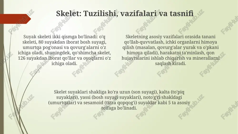 'simta umurtqa ustidagi muskullar uchun birikish nuqtasi bo'lib, harakat barqarorligini ta'minlaydi. ko'krak umurtqalari: tuzilishi va o'ziga xos xususiyatlari ko'krak umurtqalari (t1-t12) o'ziga xos qovurg'a chuqurchalariga ega bo'lib, ular qovurg'alar bilan birikish uchun mo'ljallangan va umurtqalarning barqarorligini ta'minlaydi hamda harakatchanligini cheklaydi. ko'krak umurtqalari o'rta o'lchamga ega bo'lib, bo'yin umurtqalaridan kattaroq va bel umurtqalaridan kichikroqdir, bu esa ularning tana vaznini ko'tarish va harakatni muvozanatlash vazifasini aks ettiradi. ko'krak umurtqalarining foramen vertebralesi (umurtqa teshigi) boshqa umurtqalarga nisbatan kichikroqdir, chunki u yerda orqa miyaning segmentlari bo'yin va bel qismiga qaraganda kamroq joylashgan. umurtqalarning yoshga doir o'zgarishlari kattalar va keksa odamlarda umurtqa pog'onasida degenerativ o'zgarishlar kuzatiladi, disklar yupqalashadi, osteofitlar (suyak o'simtalari) paydo bo'lishi mumkin, bu esa umurtqa pog'onasining harakatchanligini cheklaydi va og'riqqa olib kelishi mumkin. bolalik davrida umurtqa pog'onasining suyaklanishi bir necha bosqichda sodir bo'ladi, 5-6 yoshgacha umurtqa tanasi va ravoqlarining ossifikatsiya markazlari paydo bo'ladi hamda ular 18-25 yoshda birikadi. o'smirlik davrida, ayniqsa o'sishning tezlashgan …