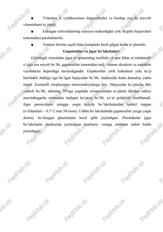 portal soxalarda limfa tomirlari, va nerv tolalari, ba`zi sut emizuvchi hayvonlar, masalan cho`chqa jigarida bo`lakcha atrofida biriktiruvchi to`qimali tolalar tutamlari ham uchrab turadi. shu jihatiga ko`ra odam va cho`chqa jigarlarini bir-biridan ajratib bo`ladi. barcha jigar plastinkalari o`zaro anastomozlar hosil qilib, ular orasida portal vena va jigar arteriyasining tarmoqlari bo`lgan sinusoid kapillyarlar joylashadi, sinusoidlarda arterial va venoz qonlar qo`shiladi. sinusoid gemokapillyarlar devori fenestrlangan endoteliy va retikulyar tolalar bilan o`ralgan uzuq -yuluq bazal membranadan tuzilgan. fenestrlar va bazal membrananing yaxlitmasligi sinusoidlardagi plazmaning tor perisinusoidal bo`shliqqa (yoki disse bo`shlig`iga) o`tishiga imkoniyat yaratadi. ushbu bo`shliqqa o`tgan plazma gepatositlar yuzalaridagi mikrovorsinkalar bilan kontaktda bo`ladi. bu kontakt gepatositlar bilan qon plazmasi orasidagi moddalar almashinuvini amalga oshirishda katta ahamiyatga ega. moddalarning gepatositlar orqali yutilishi yoki aksincha plazmaga sekresiya qilinishi, toksinlarning zarasizlantirilishi kabi muhim jarayonlar aynan shu soxada ro`y beradi. sinusoidlar tarkibida bundan tashqari yana ikki hil funksional jihatdan muhim hujayralar tafovut etiladi: ■ ko`p xususiyatlarga ega bo`lgan …