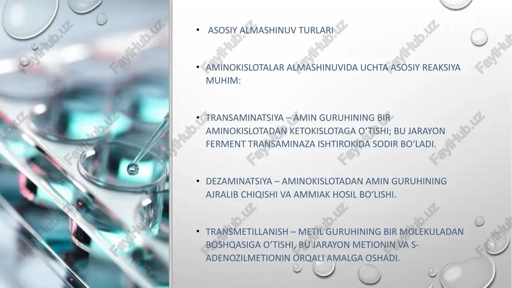 n; u immun hujayralar uchun asosiy “yoqilg‘i”. triptofan kakao, banan, sut, yong‘oq va baliqda ko‘p — shuning uchun bu mahsulotlar kayfiyatni yaxshilaydi. fenilketonuriya bilan tug‘ilgan bolalar fenilalaninni hazm qila olmaydi — ular uchun maxsus dieta kerak. lizin va arginin kombinatsiyasi immunitetni oshiradi, shamollashga qarshi tabiiy himoya beradi. 🧩 1. glyutsin va stress glyutsin (glitsin) — bu “tinchlantiruvchi aminokislota” deb ataladi. u markaziy asab tizimida tormozlovchi neyromediator sifatida ishlaydi. shuning uchun glitsin tabletkalari stress, asabiylik yoki uyqusizlikda foydali bo‘ladi. qiziqarli jihati — u miyani haddan tashqari faollikdan himoya qiladi va fikrlashni tiniqlashtiradi. 🧠 3. tirozin – “baxtli fikrlar” manbai tirozin dopamin, adrenalin va noradrenalin kabi “motivatsiya va irodani” ta’minlaydigan neyromediatorlar sintezida ishtirok etadi. uning yetarli miqdori ruhiy barqarorlik, e’tibor va xotira uchun muhim. shuning uchun ba’zi tadqiqotlarda tirozin “tabiiy antidepressant” deb ataladi. 💪 4. glutamin – immunitet “yoqilg‘isi” glutamin — immun tizim hujayralari (limfotsitlar, makrofaglar) uchun asosiy energiya manbaidir. stress, kasallik …