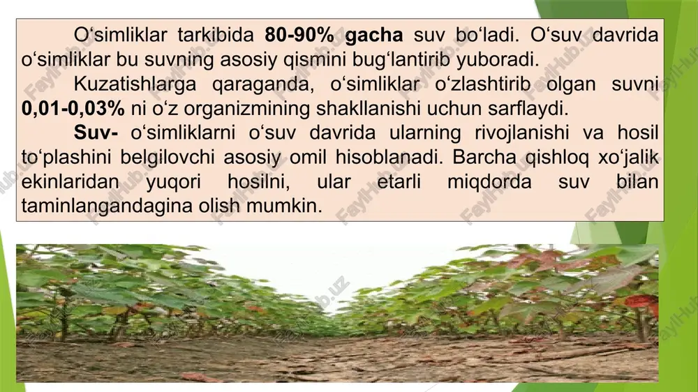 ini ifodalovchi xususiyatlarini barchasi tuproqning suv xossalarini tashkil etadi. tuproqning asosiy suv xossalari-nam sig‘imi, suv o‘tkazuvchanligi, suv ko‘tarish kobiliyati (kapillyarligi), tuproqning suv bug‘latish xususiyati va boshqalardir. tuproqning nam sig‘imi - tuproqning malum miqdorda o‘ziga suv singdirish va ushlab turish qobiliyati uning nam sig‘imi deyiladi. tuproqning nam sig‘imi - maksimal gigroskopik, kapillyar, dala va to‘lik nam sig‘imlariga bo‘linadi. dala nam sig‘imi - gravitatsion suv yuqoridan qo‘yi qatlamga oqib ketgandan va bug‘lanish bartaraf etilgandan keyin yoki tashqi omillar tasirisiz tuproqda maksimal miqdorda ushlanib qolgan nam miqdori tushiniladi. tuproqning suv o‘tkazuvchanligi deganda, yuqoridan qo‘yi qatlamlarga suv o‘tkazish qobiliyati tushiniladi. tuproqning suv o‘tkazuvchanligi muhim xossalardan hisoblanib, tuproqda suv zaxirasini vujudga keltiradi va mikroorganizmlar faoliyatini boshqarishda asosiy o‘rin to‘tadi. tuproqning suv ko‘tarish qobiliyati. kapillyar kuchlar tasirida tuproqning suvni yuqoriga qarab ko‘tarish xossasidir. suv o‘tkazuvchanlik va suv ko‘tarish tezligi sm/sek, sm/min va sm/soat, mm/soatlarda ifodalanadi. tuproqning namligiga bog'liq holda g'o'za ildiz tizimining rivojlanish tavsifi: 1 – …