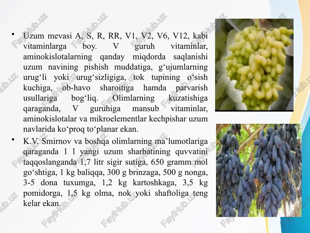 g yashil rangi xlorofill pigmentiga bog’liq. piyozning sirtqi qobiqlariga rang berib turuvchi pigment kvertsetin xisoblanadi. pigmentlar sabzavotlar tarkibidagi kislotalar miqdori va ph qiymatiga bog’liq xolda turli xil rangda bo’ladi. pishish jarayonida sabzavotlardagi pigmentlar tarkibi o’zgarib turadi. masalan, pishish jarayonida pomidor tarkibidagi likokin pigmenti miqdori 35 marta ortadi. tashqi muxit ta’sirida yoki oksidlanish natijasida pigmentlar parchalanadi va natijada sabzavot asl rangini o’zgartirishi mumkin. ko’pgina sabzavotlar qaynatilganda yoki quritilganda o’z rangini yo’qotad vitaminlar sabzavotlar xaqiqiy vitaminlar manbai xisoblanadi. vitaminlar inson organizmida katalizator rolini o’taydi va shu sababli modda almashinuvida faol qatnashadi. sabzavot (piyoz, oq karam, ismaloq va boshqalar) va poliz maxsulotlari tarkibida s vitamini (askorbin kislota) ko’p miqdorda uchraydi. sabzavotlardagi s vitamini miqdori ularni uzoq saqlash yoki konserva qilish jarayonida kamayib ketishi mumkin. sabzavot va poliz maxsulotlarida a vitamini bevosita uchramaydi, lekin karotin moddasi tuzilishiga va kimyoviy tarkibiga ko’ra a vitaminiga yaqin keladi. oshqovoq, sabzi, ismaloq, petrushkada karotin ko’p uchraydi. sabzavotlarning ichida …