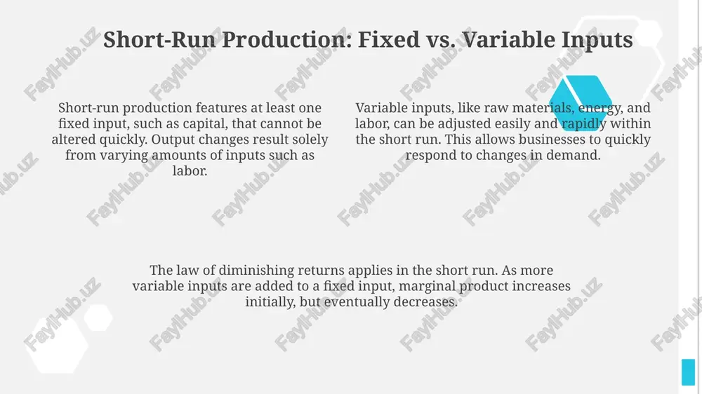 production function basics - Page 4