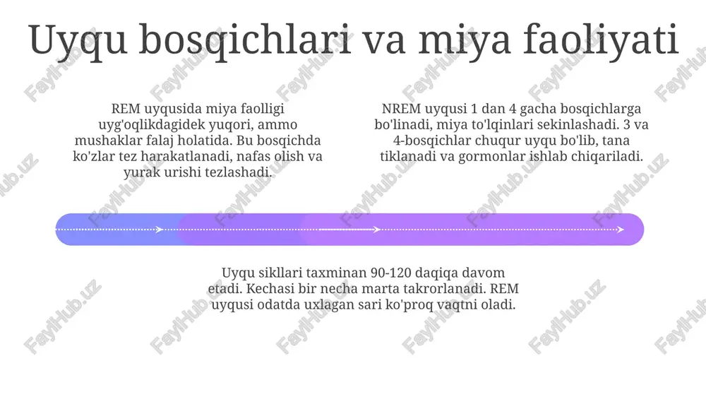 uyquningfiziologikasoslari - Page 4