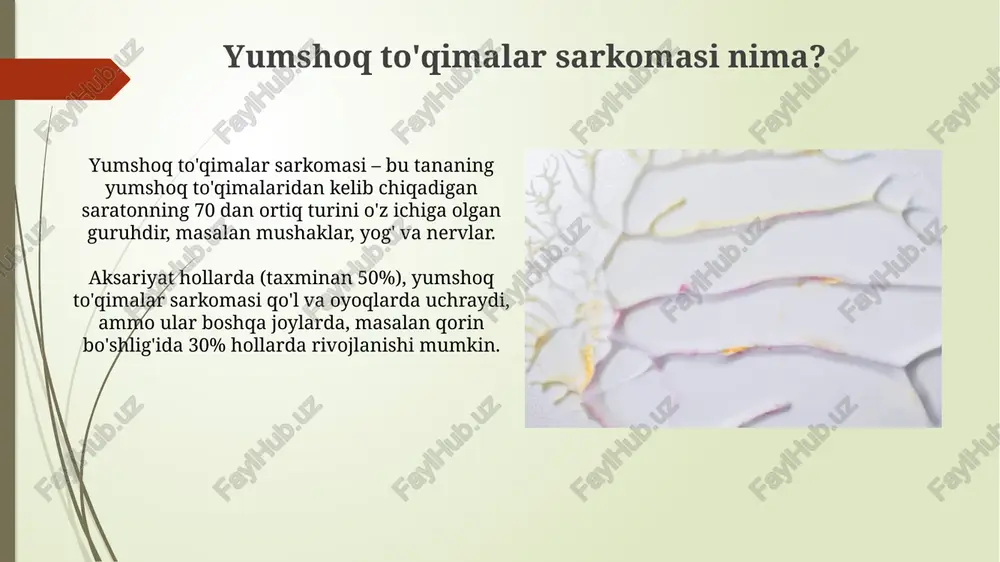 yumshoq to'qimalar va suyak sarkomasi - Page 4