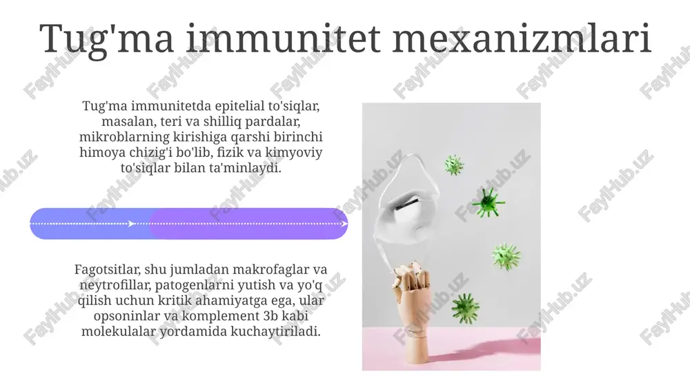 immun tizmi fiziologiyasi - Page 4