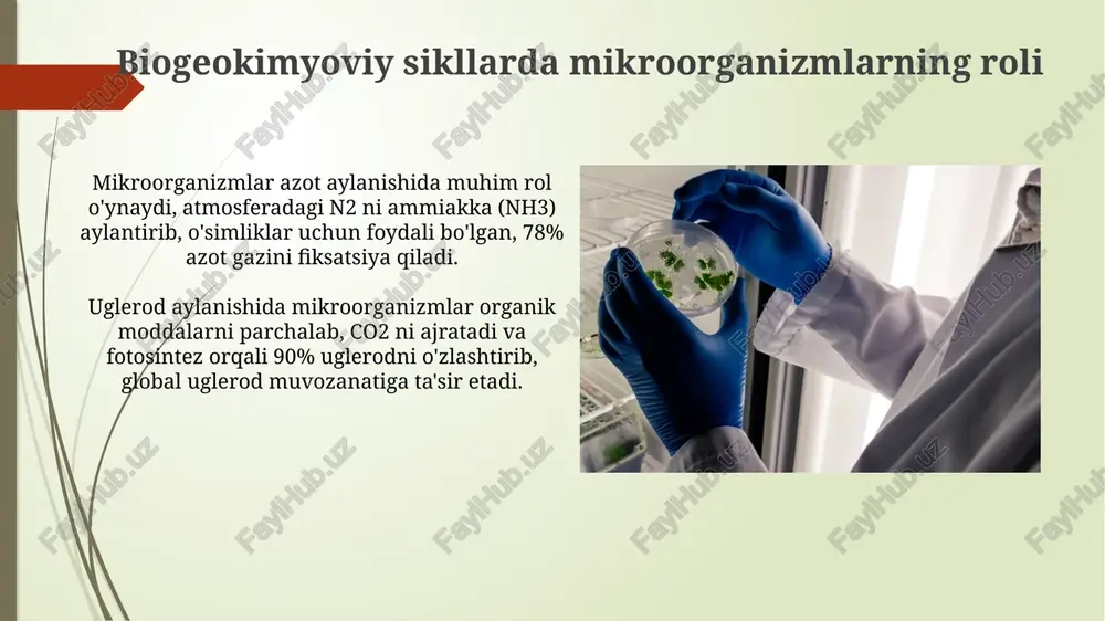 mikroorganizmlarning ekologik muvozanati - Page 4