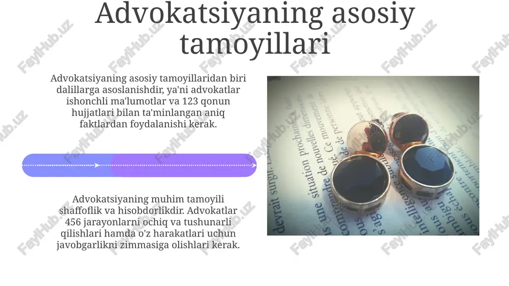 advokatsiyaning mohiyati va ahamiyati - Page 4