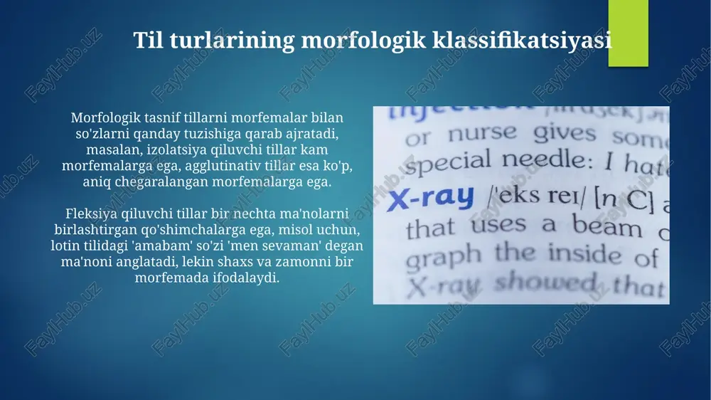 tillarning morfologik tasnifi - Page 4