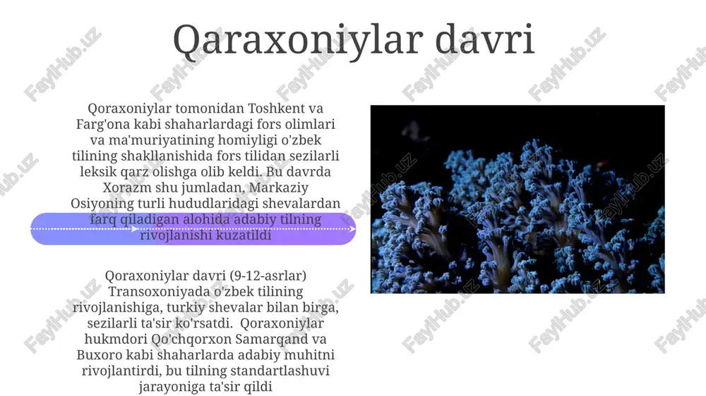proto-turkiy kelib chiqishi - Page 4
