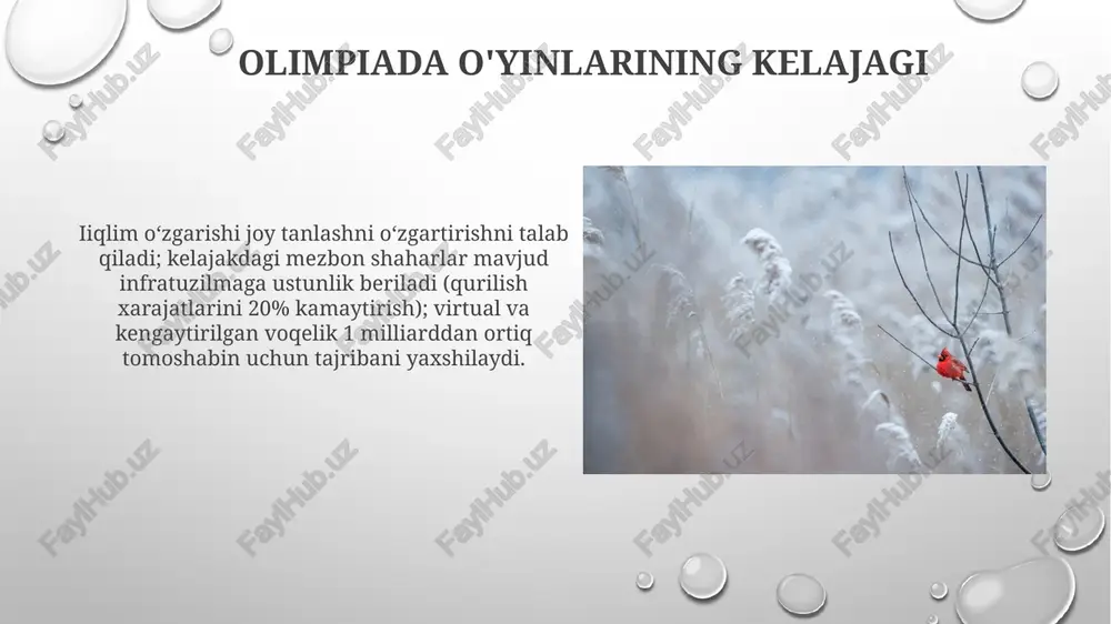 yozgi va qishgi olimpiya oʻyinlari - Page 4