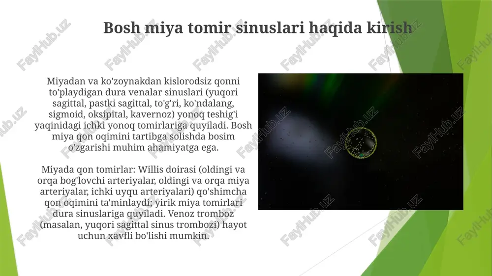kranial venoz sinuslar, bosh miyya qon tomirlari - Page 4