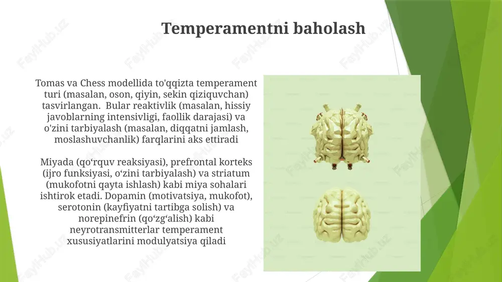 ngan miya to'lqinlari faoliyatidagi (alpha, beta, teta to'lqinlari), korteks qalinligi va kulrang modda hajmidagi (mri yordamida) neyrofiziologik farqlar turli xil temperament profillar bilan bog'liq e'tiboringiz uchun rahmat @taqdimot_robot image1.jpg image2.jpg image3.jpg image4.jpg image5.jpg image6.jpg image7.jpg image8.jpg image9.jpg image10.jpg