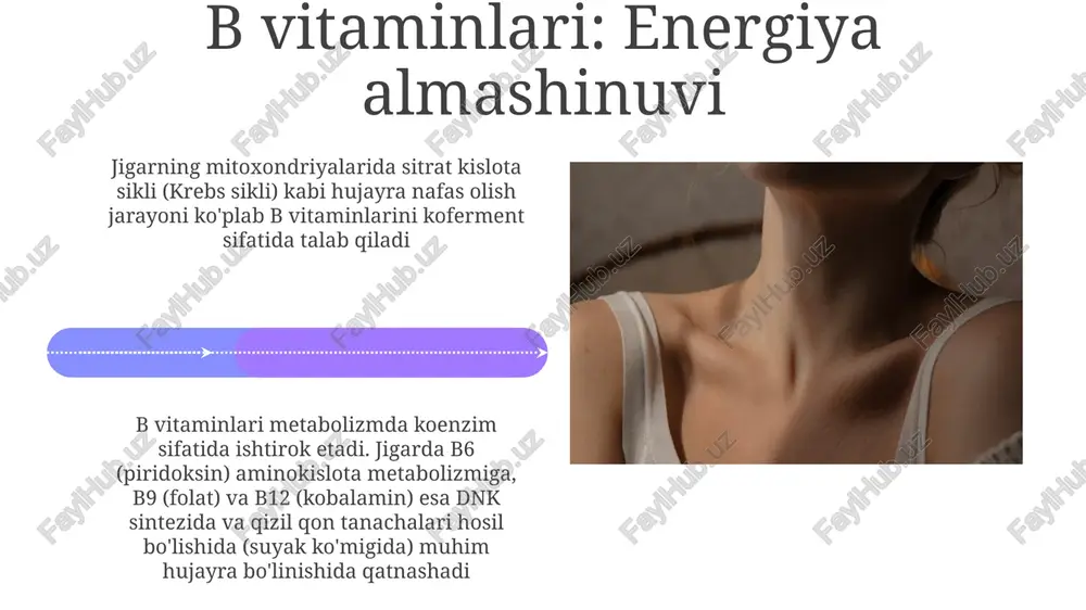 rnoq sog'lig'i biotin asosan ingichka ichakda (jejunum va ileumda) so'riladi. xom tuxum oqi iste'moli (avidin so'rilishini to'sqinlik qiladi) biotinning o'zlashish darajasiga ta'sir qiladi b vitaminlari, jumladan biotin, hujayra jarayonlarida, turli metabolik yo'llar uchun muhim ahamiyatga ega. biotin, glukoneogenez (jigar, buyraklar) va yog' kislotalari sintezida (yog' to'qimalari) muhim bo'lgan karboksilatsiya reaksiyalarida koenzim vazifasini o'taydi, bu esa energiya darajasi va umumiy sog'liqqa ta'sir qiladi s vitamini: antioksidant & kollagen kollajen, asosiy struktura oqsili, tanadagi umumiy oqsilning 25-35%ini tashkil qiladi. s vitamini uning terida, paylarda va suyaklarda joylashgan fibroblast hujayralarida ishlab chiqarilishini ta'minlaydi s vitamini (askorbin kislotasi), kuchli antioksidant, erkin radikallarni 20-30% neytrallashtirib, teri va qon tomirlari kabi to'qimalardagi oksidlanish shikastlanishidan himoya qiladi. kollagen sinteziga kuniga 50-100 mg kerak bo'lib, teri elastikligi, yara bitishi va suyak mustahkamligiga ta'sir qiladi yog'da eriydigan vitaminlar a, d, e, va k yog'da eriydigan vitaminlari ingichka ichakda yog' bilan singdiriladi, optimal singish uchun safro kislotalarini talab qiladi, jigar …