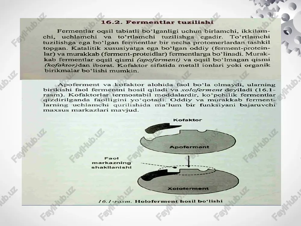 fermentlar faolligini boshqarish fermentlarni faolligini boshkarish - Page 4