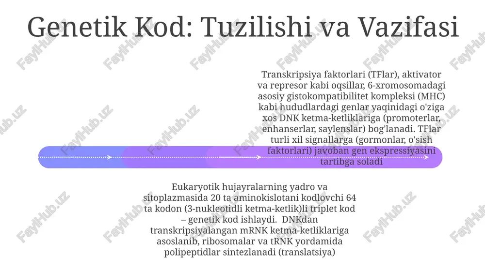 n (3-nukleotidli ketma-ketliklar; aug boshlang'ich metionin, 3 to'xtash kodoni), 20 aminokislotani, oqsillar (shu jumladan tflar va ularning dbdlari) ning qurilish bloklarini aniqlaydi transkripsiya faktorlari va kasalliklar transkripsiya faktorlari (tflar), 1600 dan ortiq inson genlarini tartibga soladi. tflarning (masalan, p53, myc) disfunksiyasi saraton kasalliklarining 50% dan ko'prog'ida (masalan, leykemiya, yo'g'on ichak saratoni) uchraydi transkripsiya faktorlari (tf) dnkning ma'lum ketma-ketliklariga (promoterlar, enhanserlar) bog'lanib, rnk polimerazaning jalb etilishiga ta'sir qiladi. tf bog'lanish affinitatidagi o'zgarishlar (snplar) regulyator mintaqalarda (masalan, parkinson kasalligida 7q31 xromosoma) gen ekspressiyasi darajasiga ta'sir qilib, kasallikka moyillikni keltirib chiqaradi noto'g'ri tf faoliyati rivojlanish buzilishlari (masalan, tbx1 mutatsiyalari tufayli dijorj sindromi), metabolik kasalliklar (masalan, pparγ buzilishi bilan bog'liq diabet) va nevrologik kasalliklar (masalan, xantington kasalligi creb bog'lanishiga ta'sir qiladi) kabi ko'plab kasalliklarga hissa qo'shadi transkripsiya faktorlarining ta'sir mexanizmlari add text add text add text add text add text add text tf bog'lanish kuchi (kd qiymati) sezilarli darajada farq qiladi. ko'p tflarning kooperativ …