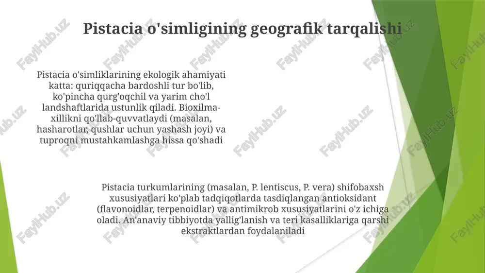 'llanilishi: anacardiaceae oilalari bioaktiv birikmalarga (masalan, taninlar, terpenoidlar) boy; pistacia lentiscus (mastik) an'anaviy ravishda ovqat hazm qilish muammolari, yara davolashda qo'llaniladi; anacardium occidentale (kashu) ekstraktlari yallig'lanishga qarshi, antioksidant xususiyatlari uchun o'rganilmoqda; farmakologik tadqiqotlar davom etmoqda. anacardiaceae o'simliklarining farmakologik xususiyatlari pistacia'ning farmakologik xususiyatlari mastik daraxtining (pistacia lentiscus) smolasi an'anaviy og'iz gigienasi va yara davolashda qo'llaniladi; pista yong'oqlari (pistacia vera) to'yinmagan yog'lar va antioksidantlarga boy; farmakologik tadqiqotlar yurak-qon tomir salomatligi va saraton profilaktikasida potentsialini ko'rsatmoqda; eron, turkiya, suriyada va kaliforniyada yetishtirish iqtisodiy jihatdan muhim. pista (pistaşi) janubiy-g'arbiy osiyoda (eron, turkiya, suriya, kaliforniya) keng yetishtiriladigan iqtisodiy ahamiyatga ega o'simlik. uning tarkibi yog'lar, oqsillar va foydali fitokimyoviy moddalar (masalan, e vitamini, to'yinmagan yog' kislotalari, polifenollar)dan iborat. pista yetishtirish issiq va quruq yozlarni talab qiladi anacardiaceae oilasi, taxminan 80 turkum va 800 dan ortiq turga ega bo'lib, pistacia (pista, mastika daraxtlari)ni o'z ichiga oladi. asosiy kimyoviy tarkibiy qismlari: terpenoidlar (masalan, pistacia lentiscusda α-pinen, limonen, pistacia …