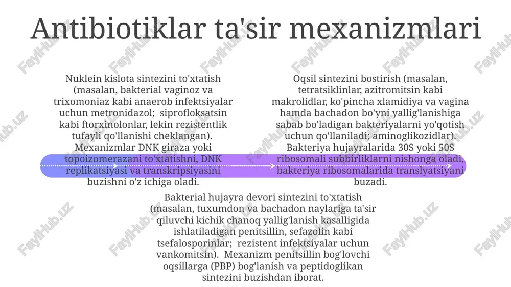 n, metronidazol 500mg kuniga 2 marta 7 kun davomida); mumkin bo'lgan yon ta'sirlar: ko'ngil aynishi, diareya, qorin og'rig'i. antibiotiklardan foydalanishning kelajakdagi yo'nalishlari antibiotikka chidamlilikka qarshi kurash strategik qo'llanilishni, shu jumladan namunalardan (masalan, bachadon bo'yni surtilmalari) olingan madaniy va sezgirlik natijalariga asoslangan maqsadli davolashni talab qiladi ginekalogik qo'llanmalarda keng spektrli, oddiy patogenlarga (masalan, xlamidiya traxomatis, gonokokk) qarshi ta'sir ko'rsatuvchi, ammo vaginal mikrobiomani minimal darajada buzuvchi antibiotiklar talab etiladi keng qo'llaniladigan antibiotiklar va ularning tarkibi penitsillin (masalan, amoksitsillin, 250mg-500mg tabletkalar), sefalosporinlar (masalan, sefazolin, tomir ichiga yuboriladi, jahon miqyosidagi kasalxonalarda keng qo'llaniladi, chala yallig'lanish kasalliklarini davolashda), metronidazol (500mg tabletkalar, bakterial vaginozni keltirib chiqaradigan anaerob bakteriyalarga qarshi samarali). ginekologiyada antibiotiklar spektri tor torli yallig'lanishlar (masalan, siydik pufagi va siydik yo'llarining oddiy infektsiyalari)da tor ta'sir doirasiga ega antibiotiklar (masalan, azitromitsin, klindamitsin) qo'llaniladi; mahalliy infektsiyalar uchun klotrimazol yoki mikonazol saqlovchi vaginal kremlar qo'llanishi mumkin. doza infektsiyaning og'irligiga va bemorning holatiga bog'liq. keng ta’sir doirasiga ega antibiotiklar …