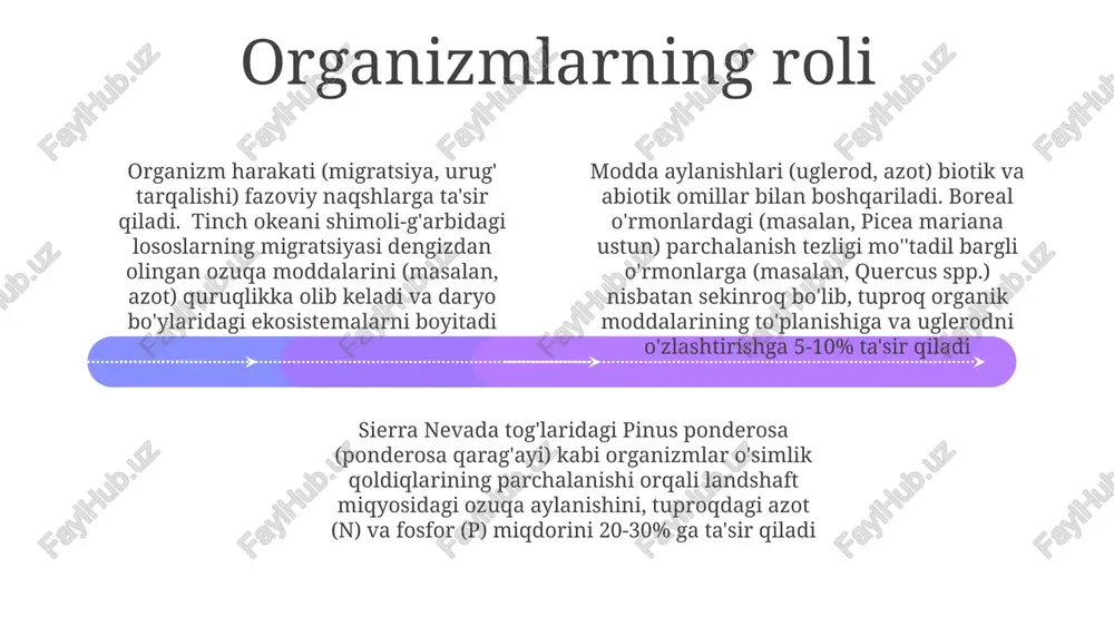 landshaftlarda modda va energiya harakati - Page 4
