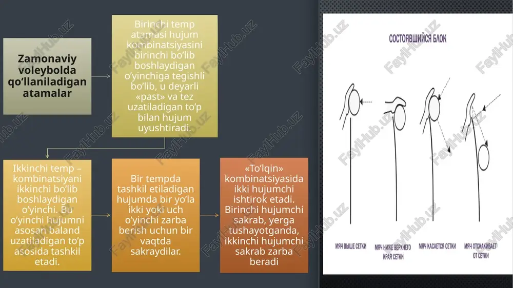 y, ijtimoiy, taktik, texnik xususiyatlarini mukammal bilib olishga erishish, raqib jamoasining taktik imkoniyatlarini, uning yutuq va kamchiliklarini, hatto jamoaning mashg’ulot o’tkaziladigan inshootlari sharoitini, u yerdagi iqlim va texnik omillarni bilishni taqozo etadi. strategik razvedka nafaqat raqib sportchilar haqida, balki jamoa murabbiylari, uqalovchi shifokorlari va rahbarlari haqida keng ma’lumotlarga ega bo’lishi maqsadga muvofiqdir. o‘yinchining o‘yin ixtisosligi va jamoa taktikasini tuzish voleybol jamoasi tarkibidagi o’yinchilar musobaqa davomida maydonda joylashishlariga qarab barcha mavjud o’yin funksiyalarini bajaradilar. shu bilan bir qatorda har bir o’yinchi muayyan o’yin funksiyasiga ixtisoslashgan bo’ladi, ya’ni uni o’ziga xos o’yin «kasbi» bo’ladi. masalan, asosiy zarba beruvchi, bog’lovchi o’yinchi (to’p uzatuvchi) va hokazo. o’yinchining o’yin «kasbi» uning jismoniy, morfologik, texnik va taktik imkoniyatlariga qarab yillar davomida shakllanib, borgan sari ixtisoslasha boradi. jamoa tarkibini yaratish-jamlash ham mazkur masala bilan chambarchas bog’liqdir. zamonaviy voleybolda jamoa tarkibi aksariyat 4-2 yoki 5-1 tizimi asosida tuziladi. u 4 ta hujumchi, 2 ta bog’lovchi – to’p uzatuvchi …