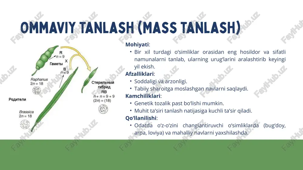 tanlash metodlari va urug‘chilik - Page 4