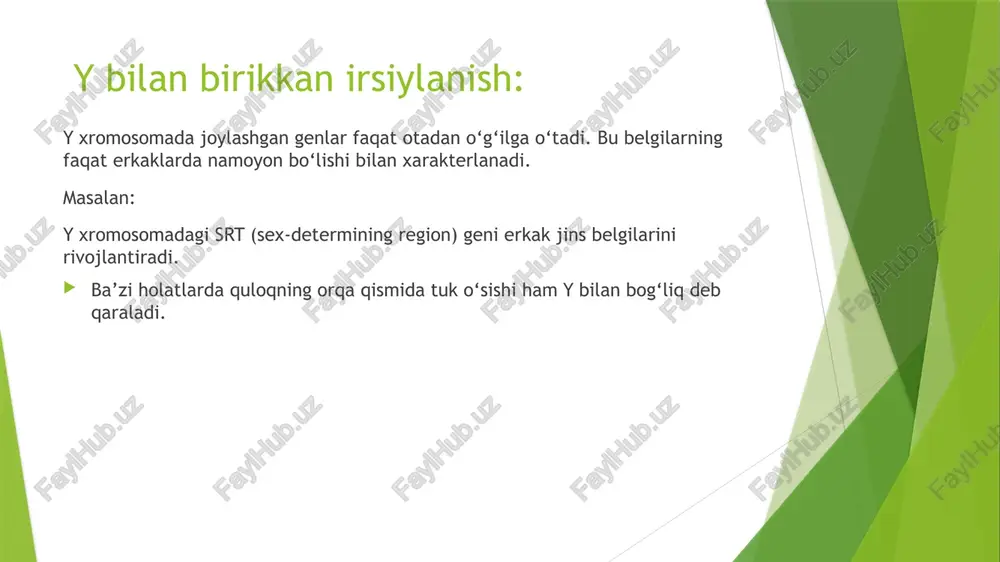 jins bilan birikkan holda belgilarning irsiylanishi - Page 4
