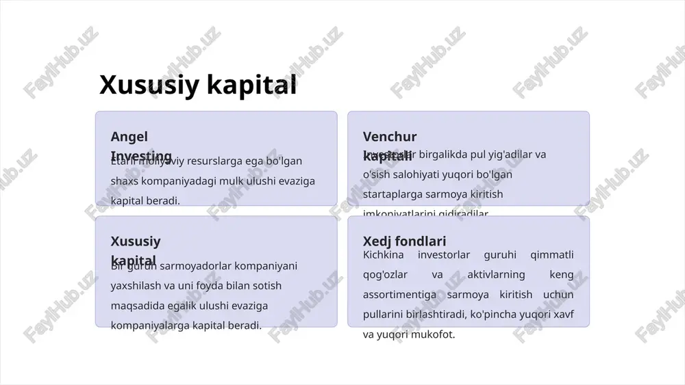 xususiy kapital - Page 4
