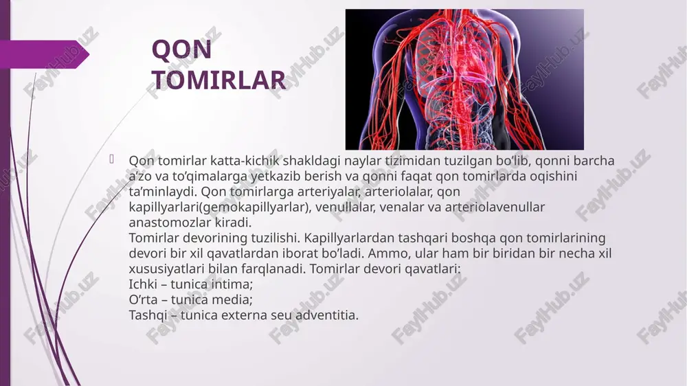 alashuv qo'llaniladi. hulosa aorta arteriyasi — bu organizmdagi eng katta qon tomiridir. u yurakning chap qorinchasi orqali chiqib, kislorodga boy arterial qonni butun tana bo‘ylab tarqatadi. aorta kuchli elastik devorlarga ega bo‘lib, yuqori bosim ostida qonni tashishga moslashgan. uning asosiy bo‘limlari: ko‘krak (thorakal) va qorin (abdominal) aortasi. xulosa: aorta – yurakdan chiqadigan asosiy arteriya bo‘lib, kislorodli qonni tana bo‘ylab yetkazadi va organizmning hayotiy faoliyati uchun muhim ahamiyatga ega. etiboriz uchun raxmat to’ymurodova mavluda image1.png image2.png image3.png image4.png image5.png image6.png image7.png /docprops/thumbnail.jpeg