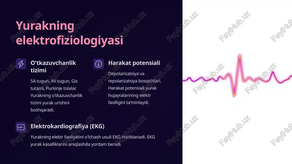 yurak faoliyatining fizik asoslari - Page 4