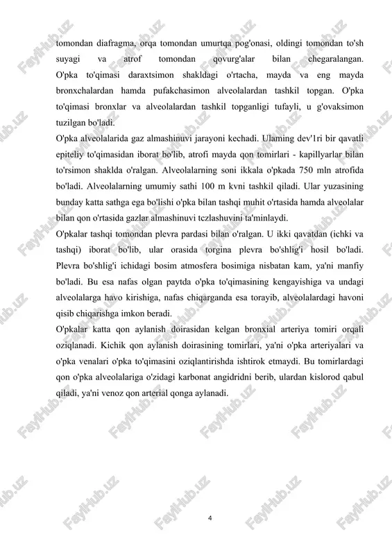 avo kirishiga, nafas chiqarganda esa torayib, alveolalardagi havoni qisib chiqarishga imkon beradi. o'pkalar katta qon aylanish doirasidan kelgan bronxial arteriya tomiri orqali oziqlanadi. kichik qon aylanish doirasining tomirlari, ya'ni o'pka arteriyalari va o'pka venalari o'pka to'qimasini oziqlantirishda ishtirok etmaydi. bu tomirlardagi qon o'pka alveolalariga o'zidagi karbonat angidridni berib, ulardan kislorod qabul qiladi, ya'ni venoz qon arterial qonga aylanadi. utkip bponxit cababi: odatda antibaktepial davo talab etmaydigan vipycli infektsiya. o'tkir bronxit kelib chiqish sabablari va xos belgilari i. a grippi virusi - har 3 yilda 1 marta butun mamlakatlarni qamrab oluvchi katta epidemiyalar; klinik ifodalangan grippning eng ko'p sababchisi; kasallikning og'ir kechishi, epidemiya vaqtida o'lim ko'rsatgichi yuqori bo'ladi ii. v grippi virusi - har 5 yilda 1 marta bo'luvchi epidemiya; a virusdan ko'ra pandemiyalar kamroq va kasallikning kechishi engilroqdir iii. 1-3 turdagi paragripp - bir-biri bilan epidemiologik nuqtai-nazardan bog'liq bo'lmagan, yakkalangan holatlar iv. adenovirus - bir-biri bilan epidemiologik nuqtai-nazardan bog'liq bo'lmagan, …