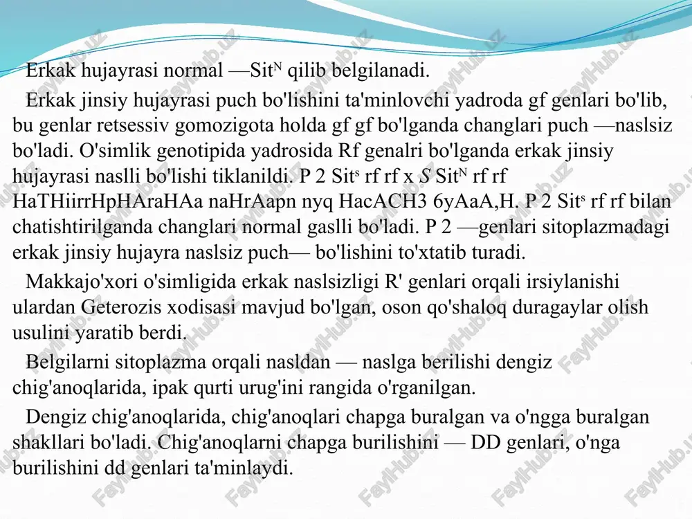 lda uchraydi: noirsiy —fenctipik. irsiy — genotipik, naslga beriladigan. mutatsiya o'zgaruvchanligi sakrash tarzida hosil bo'ladi. tabiatda keskin irsiy o'zgarisblar (mutatsiyalar) bilan bir qatorda boshlang'ich holidan bir oz farq qiladigan kichik mutatsiya o'zgaruvchanligi ham ko'plab uchrab turadi. mutatsiya o'zgaruvchanligi hosil bo'lish sharoitiga ko'ra shartli 2 ga bo'linadi: a) spontan mutatsiya-bu tabiiy sharoitda, tabiiy omillar: quyosh nuri radiatsiyasi, qattiq sovuq va issiq ta'sirida organizmda morfologik, biokimyoviy, fiziologik o'zgarishlar hosil bo'ladi. b) indutsirlangan mutatsiyalar maxsus omillar inson tomonidan ta'sir ettirib, radiy nurlari, kimyoviy kontsentrlangan moddalar, rentgen nurlari, biologik aktiv moddalar ta'sirida, morfologik, fiziologik, biokimyoviy biologik aktiv moddalar ta'sirida hosil bo'ladi. xromasomalarning qayta qurilishi deletsiya, dublikatsiya, inversiya, insektsiya natijasida genlar miqdorini o'zgarishiga va organizmda belgilarning o'zgarishiga olib keladi. bu o'zgaruvchanlikni evolyutsiya jarayoniga asosiy omil bo'lib, tabiiy tanlanish, yashash uchun kurash manbaa bo'lib xizmat qiladi. xromasomalararo qayta qurilishi gomologik xromasomalar ichida hujayrani meyoz bo'linishi jarayonida sodir bo'lsp rekombinatsiya deyiladi. bunda gomologik xromasomalarining bir qismi uzilib …