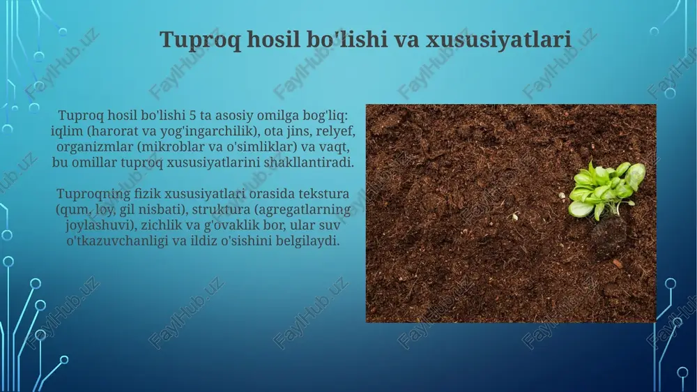 tuproqlar - Page 4