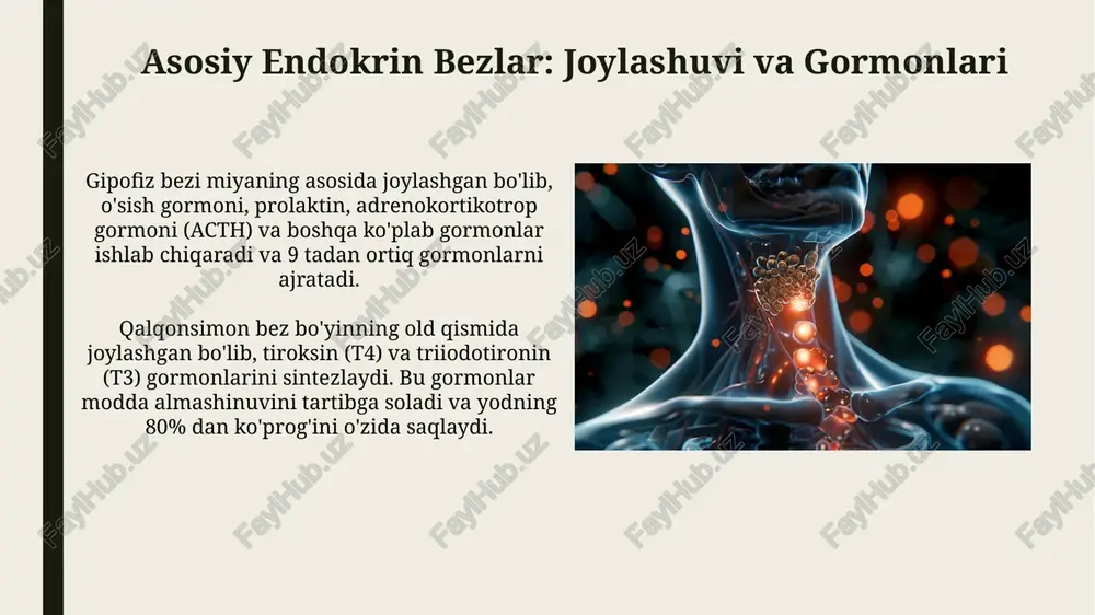 gormonlar fiziologiyasi - Page 4